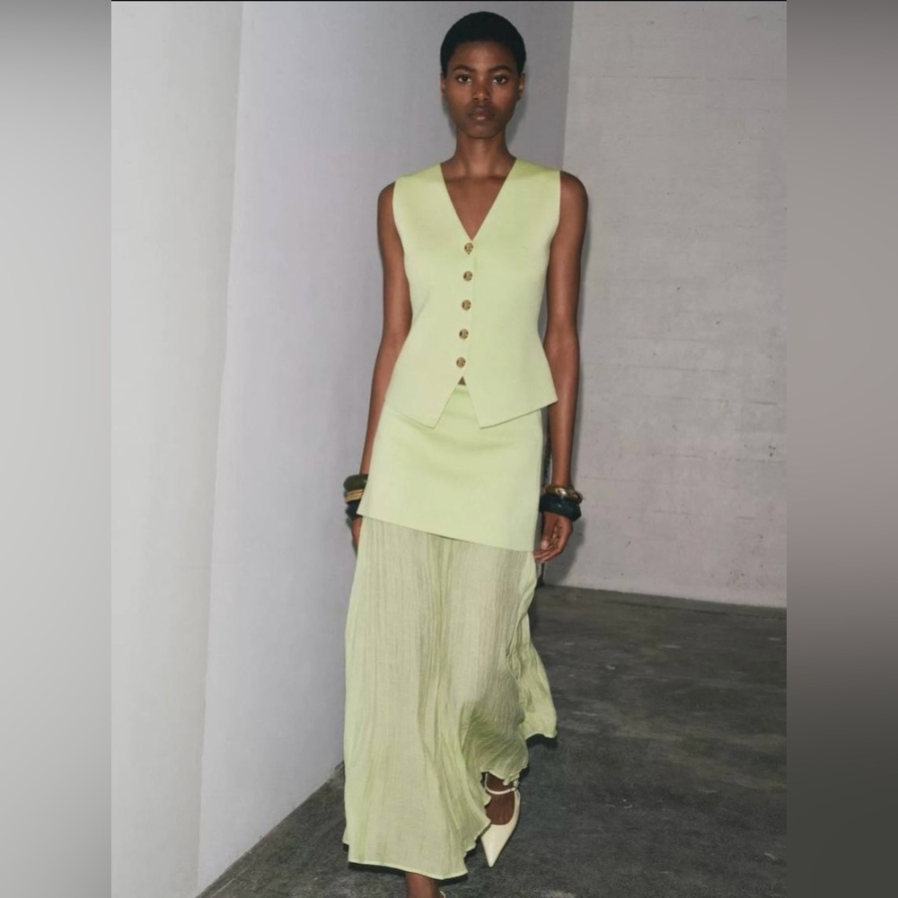 Zara “Blogger Fav”  combination pleat skirt